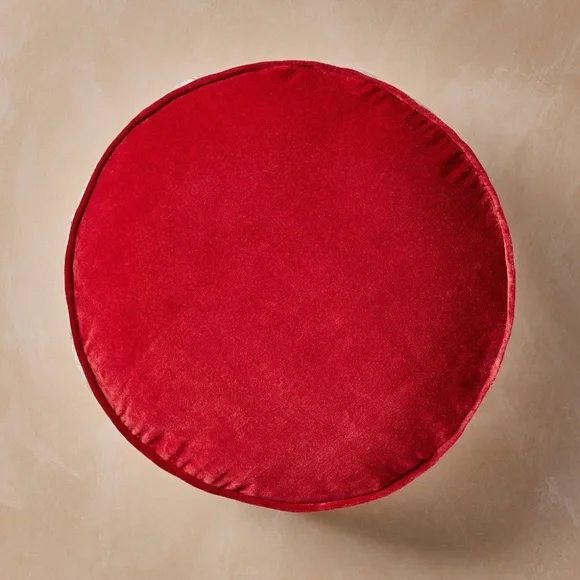 NWT 2023 John Derian 16" Round  Turkey Pillow - Picture 4 of 8